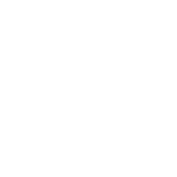 Icon 3